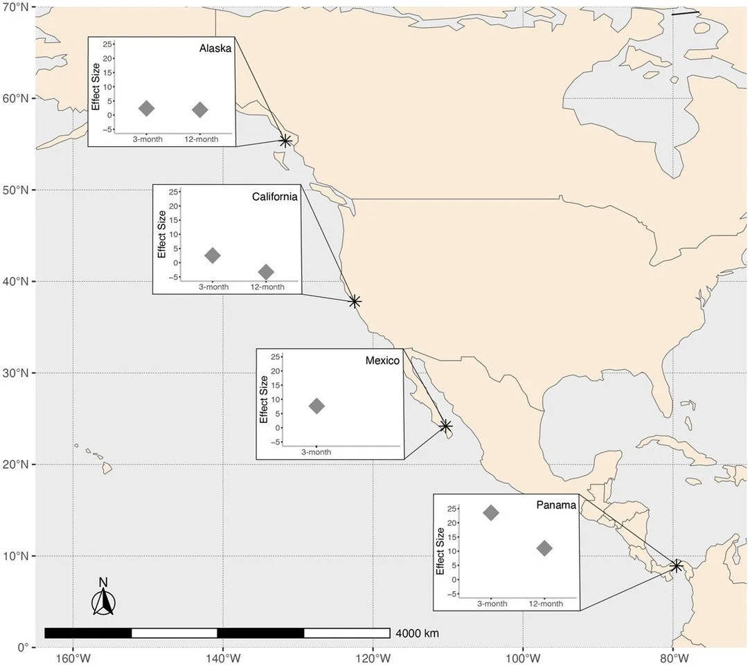 Consumer diversity drives stronger predation in tropical marine communities https://vist.ly/54agz #Experimental #Macroecology #Predation