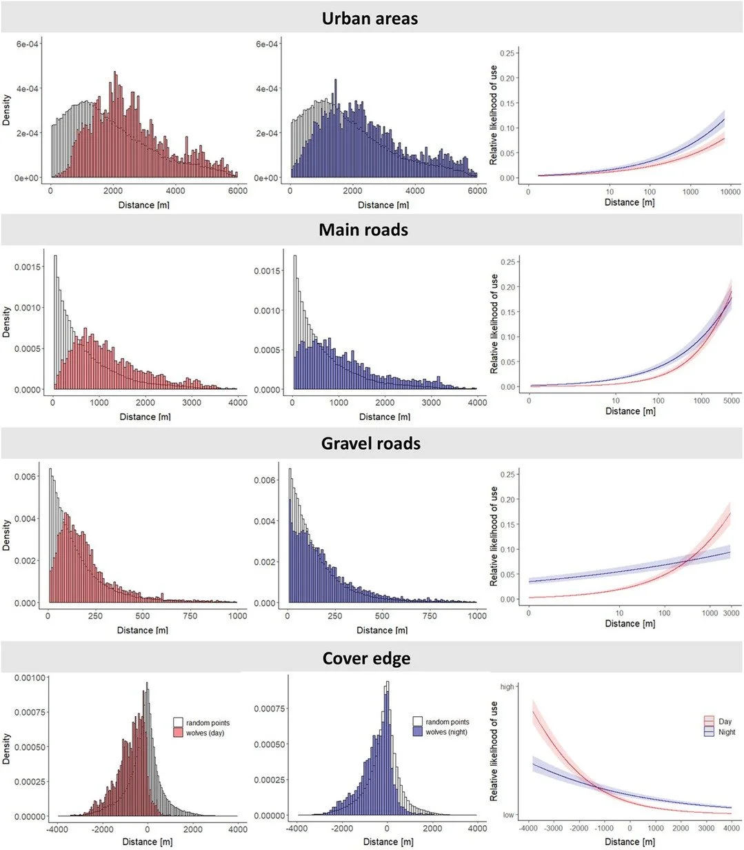 How to stay wild in a highly domesticated landscape? Spatiotemporal behaviour of wolves in Germany https://vist.ly/572p3 #Wolves #Activity #HabitatUse