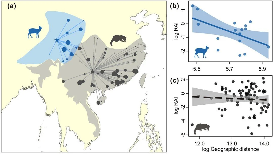 Species traits mediate the abundant-center patterns in ground-dwelling mammal and bird species in China https://vist.ly/58bvg #ClimateNiche #GeographicDistribution