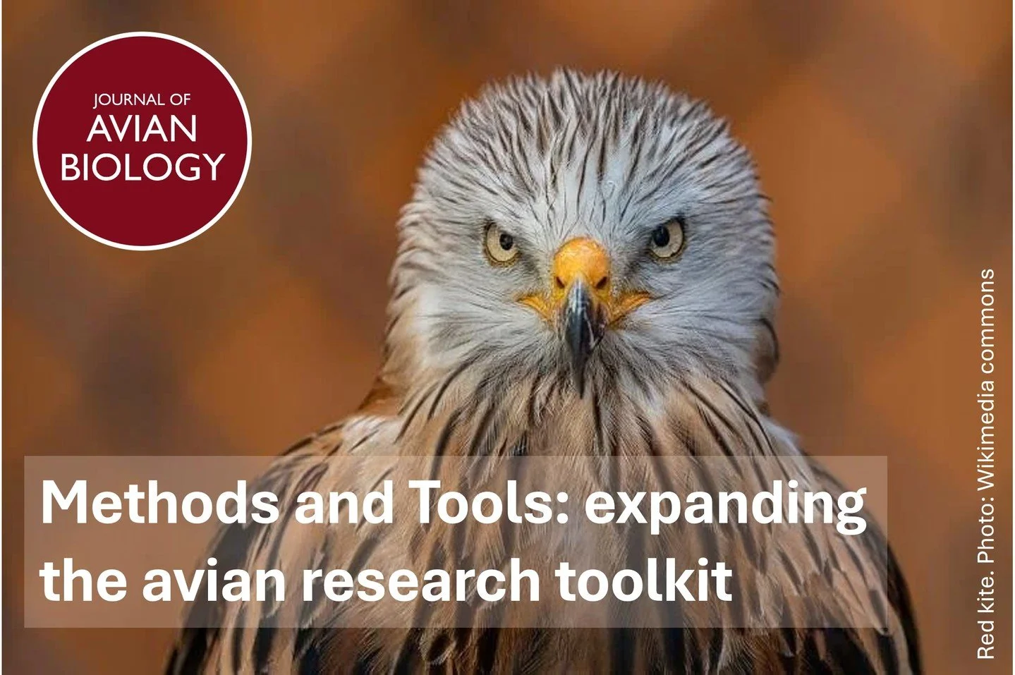 Great bird science starts with great methods 🐦🔬
ㅤ
We are pleased to announce the launch of a new article type in the Journal of Avian Biology: Methods and Tools. Until now, new methods in avian biology have typically been published as Research Arti