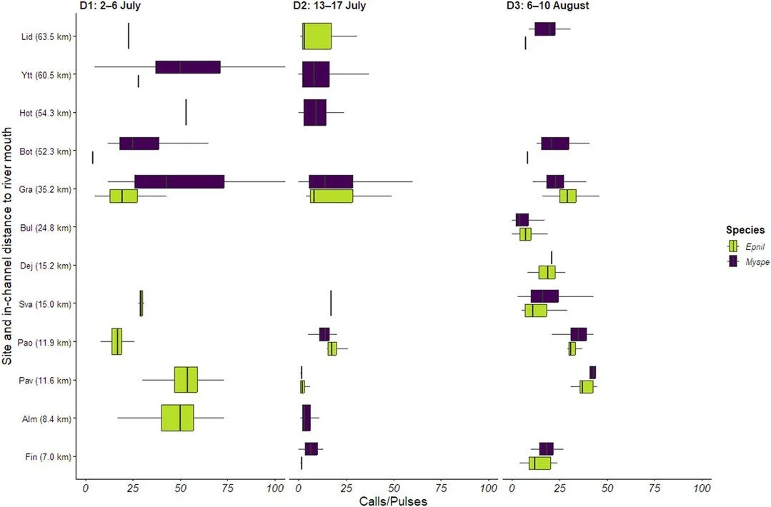 Temporal, species-specific variation in activity patterns of bats (Chiroptera) along a boreal river basin in V&auml;sterbotten, Sweden https://vist.ly/58jv3