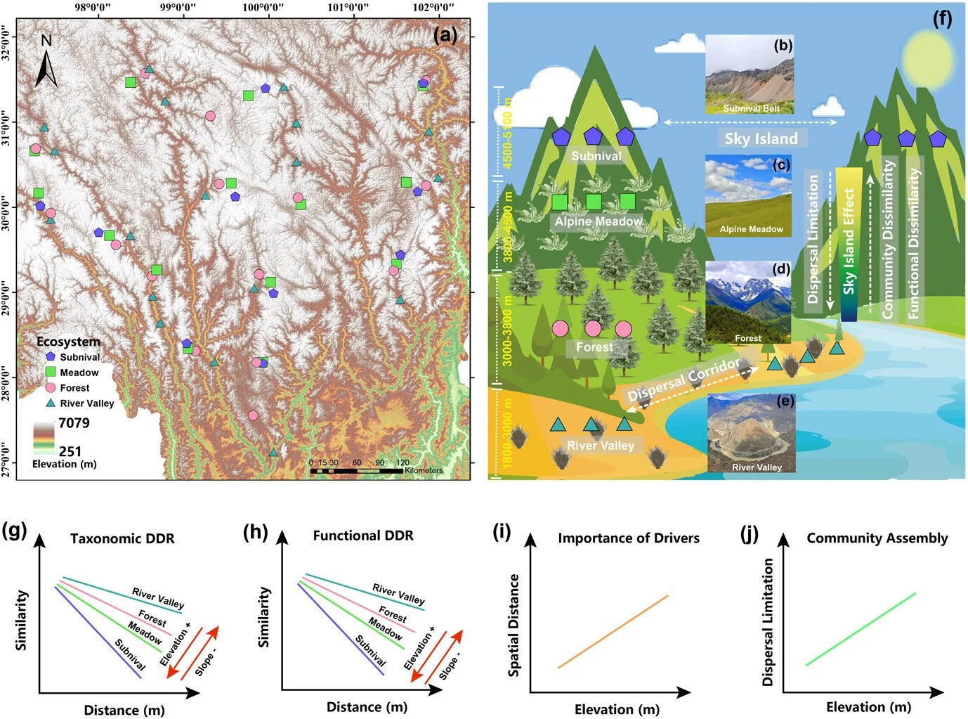 Inverse sky islands: lowland river valleys drive microbial divergence while high elevations select for convergence in massive mountain ecosystems https://vist.ly/58jvw #MicrobialBiogeography #SkyIslands