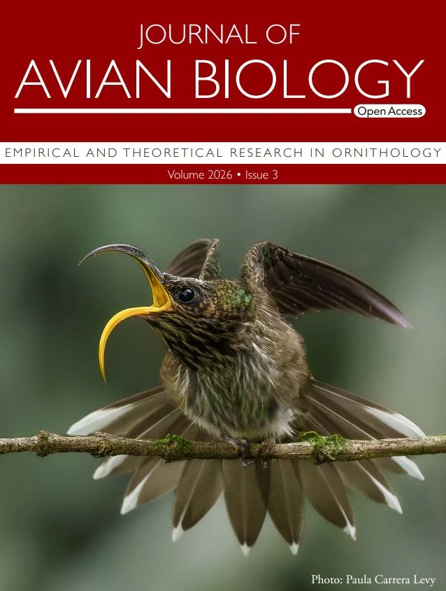 Cover | What does the white-tipped sicklebill tell us about connectivity and gene flow across the Andes?