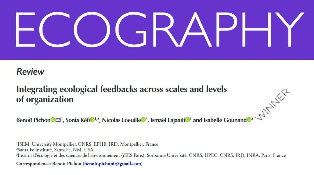 E4 award winner: Integrating ecological feedbacks across scales and levels of organization. Video abstract: https://vist.ly/58urt A big congratulations to the 1000 Euro prize!