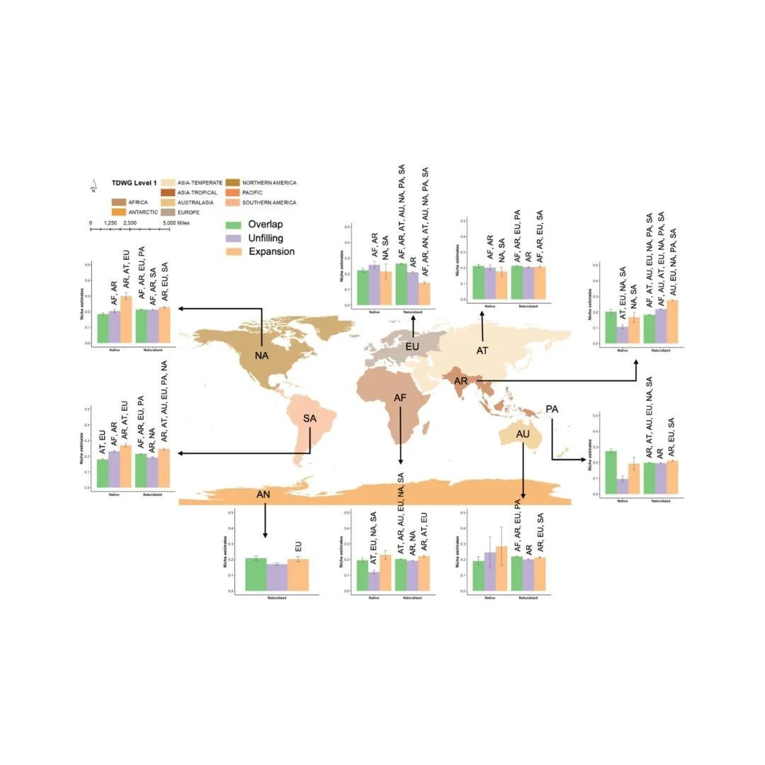 🌍🪴Biogeography and residence time influence the climatic niche shift of invasive plants in India
ㅤ
https://vist.ly/58wmx
ㅤ
#BiologicalInvasion #DriversOfNicheShift #EcologicalNicheModel #InvasionHistory #NaturalizedRangeSize #RealizedClimaticNiche