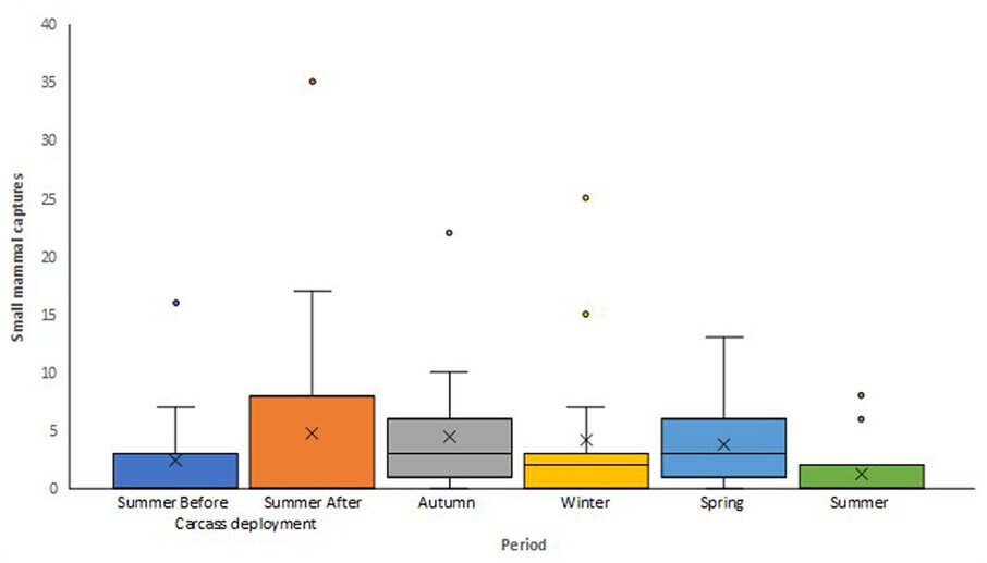 Fear or feast: small mammal activity increases in the presence of carcasses despite increased threat of predation by black-backed jackals https://vist.ly/59ei6 #Jackal #Scavengers #Coleoptera