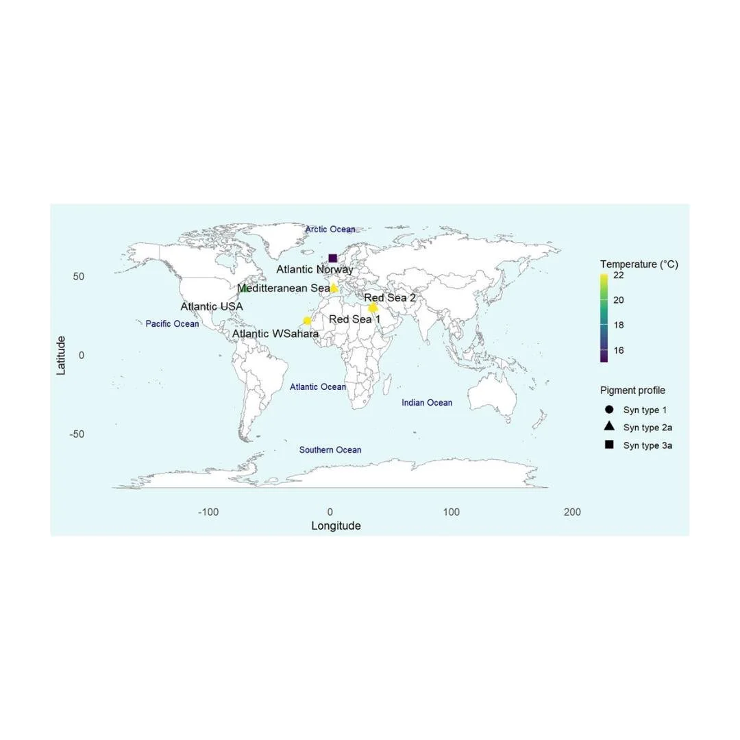 🦠🔃Sensitivity and legacy effects in phytoplankton growth and traits under sequential environmental change
ㅤ
https://vist.ly/59jq5
ㅤ
#FunctionalTraits #LegacyEffects #Phytoplankton #PopulationGrowth #SequentialEnvironments #Sensitivity
ㅤ