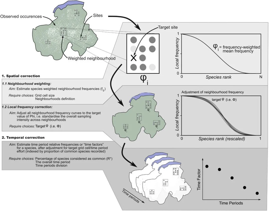 A practical guide to species trend detection with unstructured data using local frequency scaling (Frescalo) https://vist.ly/59nym