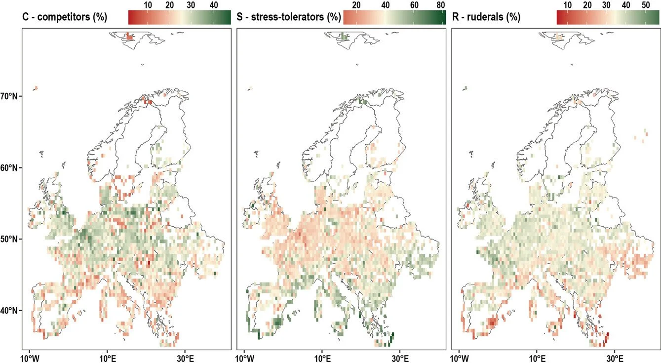 Plant adaptive strategies respond to environmental change across European grassland habitats https://vist.ly/59xcc #EnvironmentalDrivers #FuturePredictions