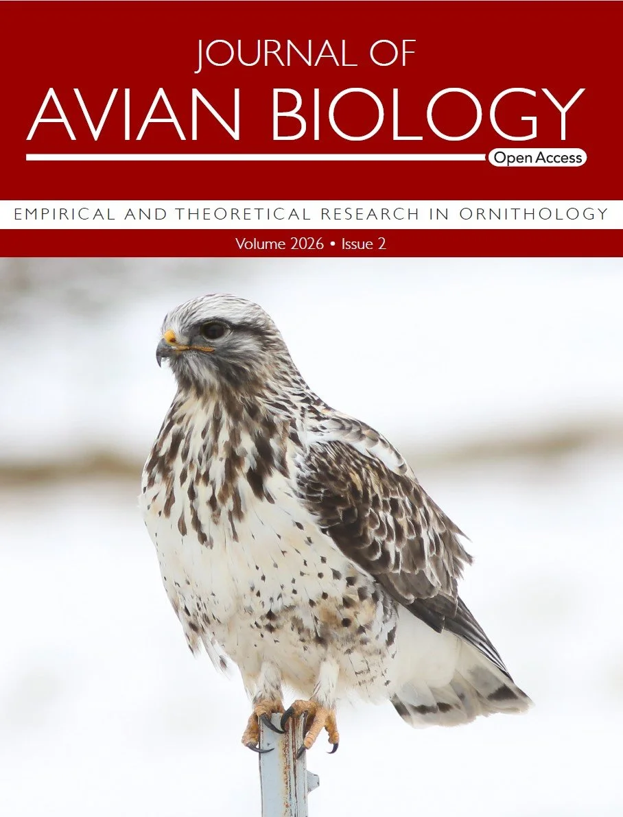 New paper: Is migration more dangerous during disease outbreaks? Long-term GPS tracking of rough-legged buzzards suggests highly pathogenic avian influenza substantially increased mortality risk during both spring and autumn migration.
ㅤ
➡️ https://v