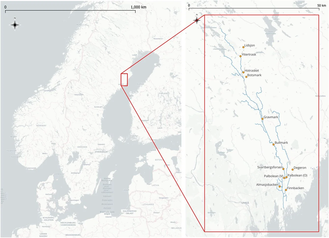 Temporal, species-specific variation in activity patterns of bats (Chiroptera) along a boreal river basin in V&auml;sterbotten, Sweden https://vist.ly/5dmga #Bats #Activity #Ecology