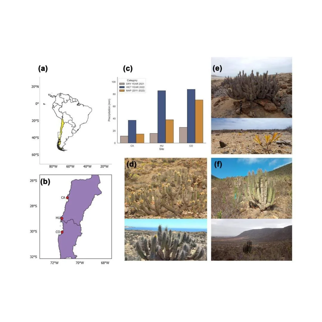 Ignite🔥: 🌧️Rainfall increases generalization of pollination networks and heterospecific pollen deposition in arid ecosystems
ㅤ
https://vist.ly/5dnrm
ㅤ
#AridityGradient #Nestedness #PollenTransfer #Pollinators #Specialization