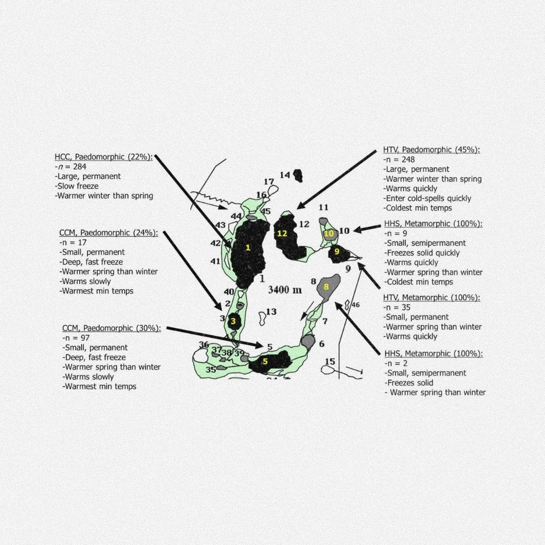 💧➿Spatial and temporal variation in climate and conflict explains 35 years of developmental plasticity in a polyphenism
ㅤ
https://vist.ly/5dtfy
ㅤ
#Amphibians #ClimateChange #FacultativePaedomorphosis #PhenotypicPlasticity #ReactionNorms
