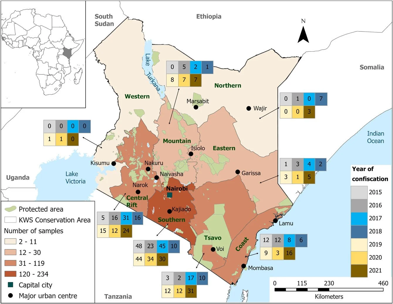 Enhancing hotspot mapping of illegal wild meat trade in Kenya through market surveys and confiscated meat analyses https://vist.ly/5dwsm #Bushmeat #Poaching #Conservation