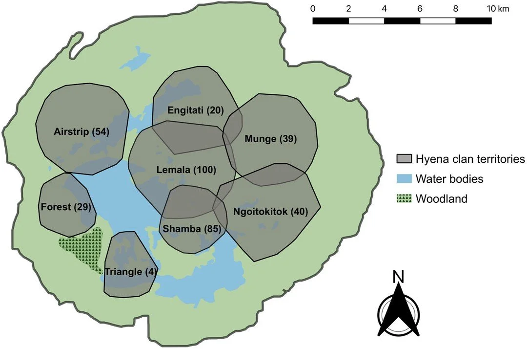 Minimal impact of spotted hyenas on livestock and endangered species in a prey-rich ecosystem https://vist.ly/5e7cd #Rhinos #Hyeanas #DNA #Metabarcoding