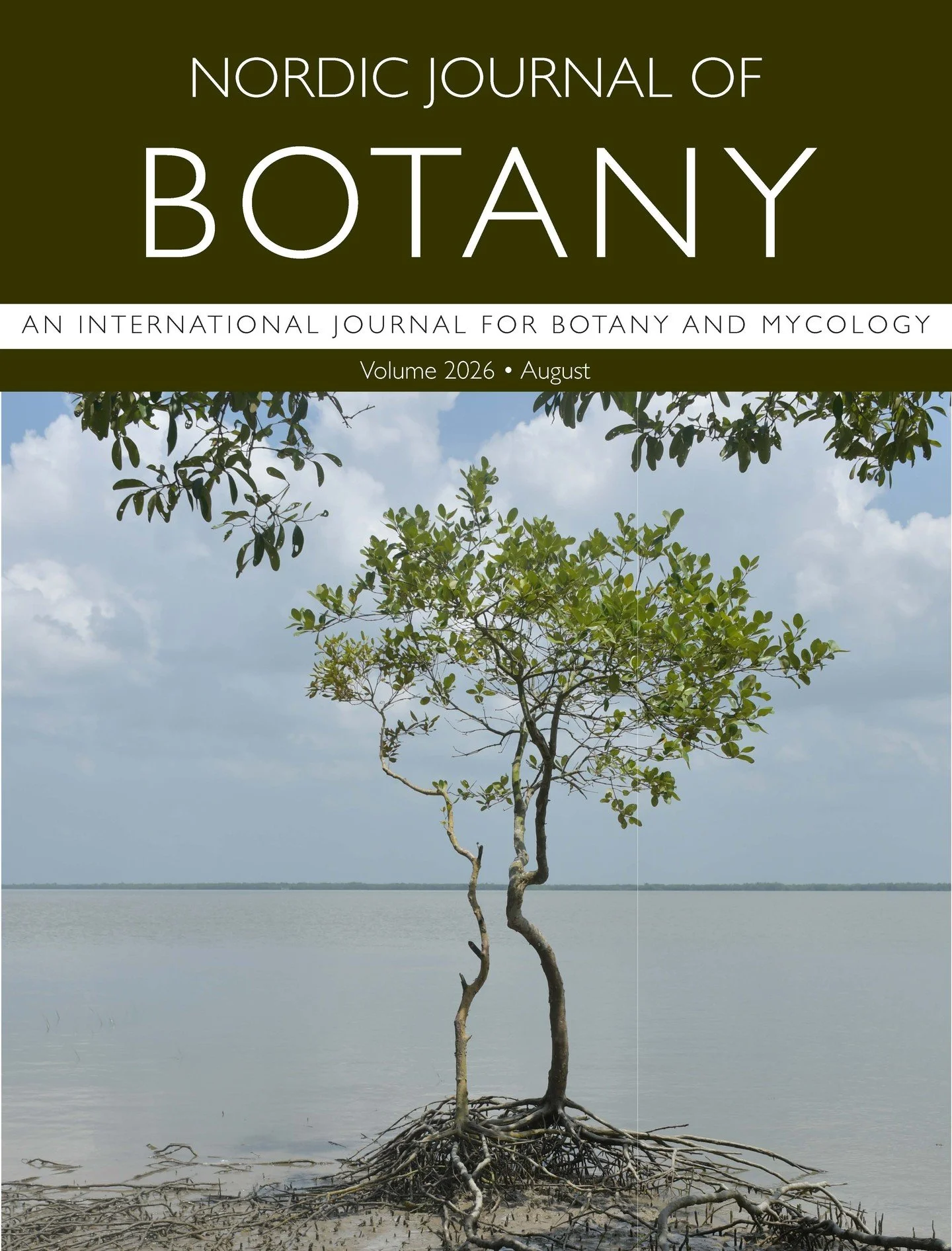 NEW ISSUE: The NJB August issue is out! The cover image shows the mangrove species Avicennia marina from the Sundarbans. which was characterzied together with two other Avicennia species by Mondal &amp; Naskar.
ㅤ
➡️See all articles here: https://vist