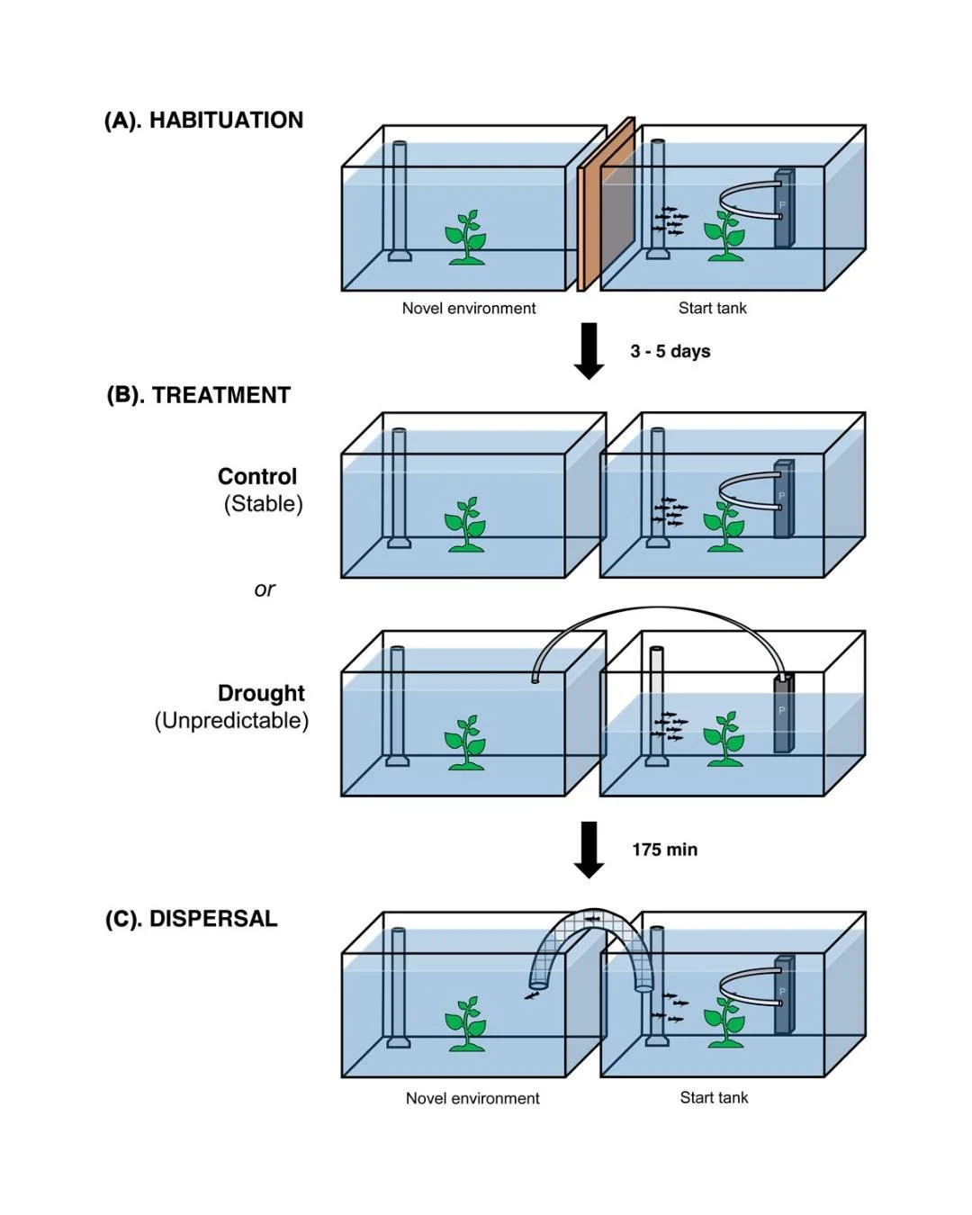 🔲🧠Evidence for dispersal personality in the guppy across ecological conditions, with a minor effect of relative brain size
ㅤ
https://vist.ly/5e8pi
ㅤ
#CognitiveBufferHypothesis #DispersalSyndrome #EnvironmentalVariability #Personality #PoeciliaRetic