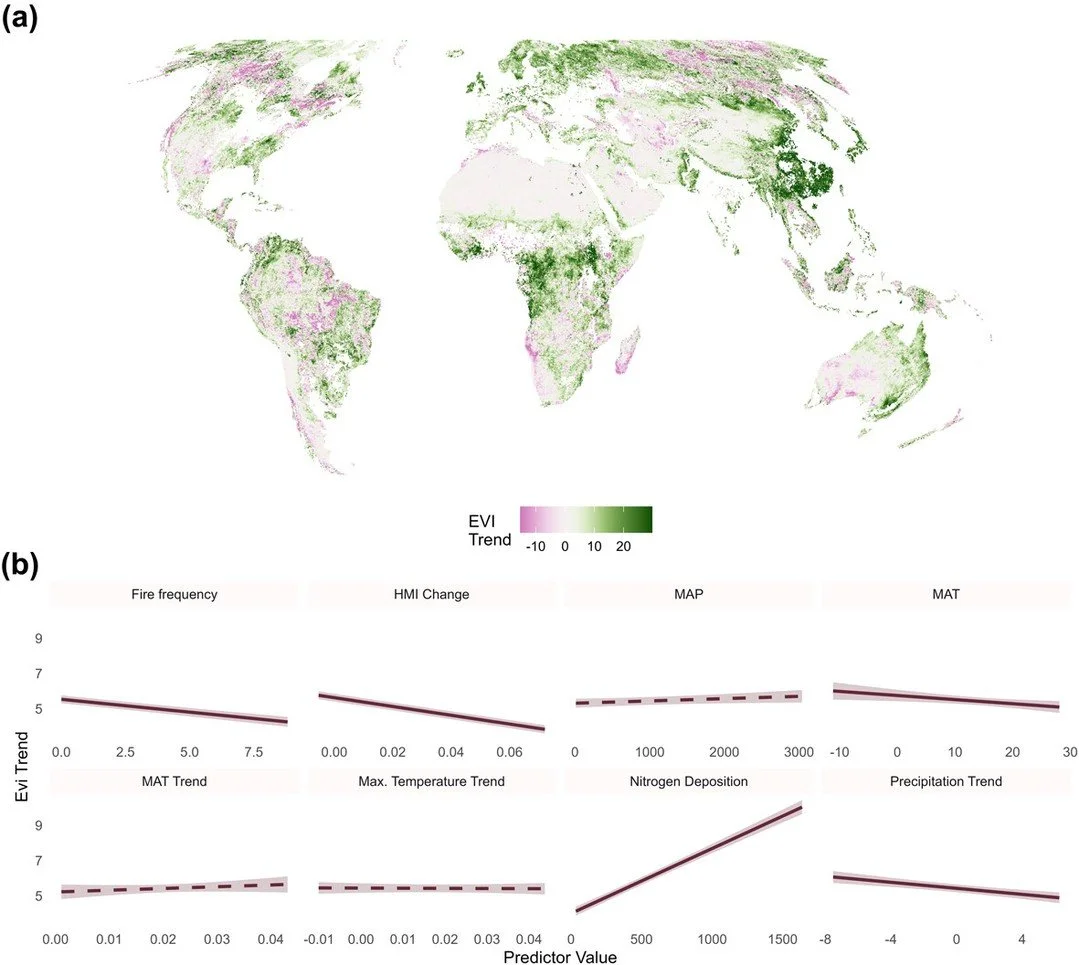 Global analysis suggests nitrogen deposition as an underestimated driver of vegetation greening https://vist.ly/5fcaq #Anthropocence #GlobalWarming #Restoration