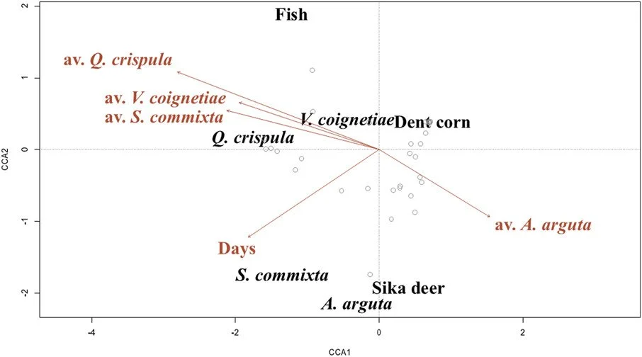 The relative abundance of crop and natural food influences crop consumption by brown bears https://vist.ly/5fkzt #Bears #CropDamage #Monitoring