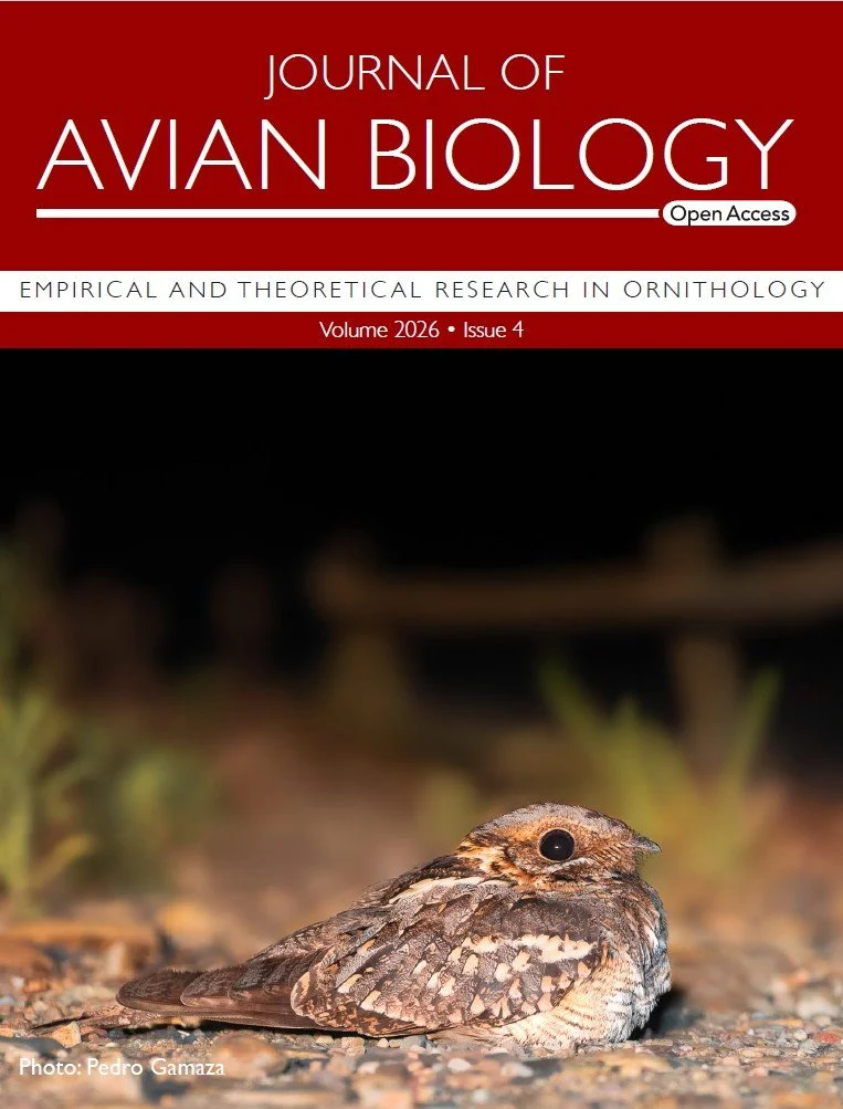 Cover | Do warm roads help nightjars fuel for migration?