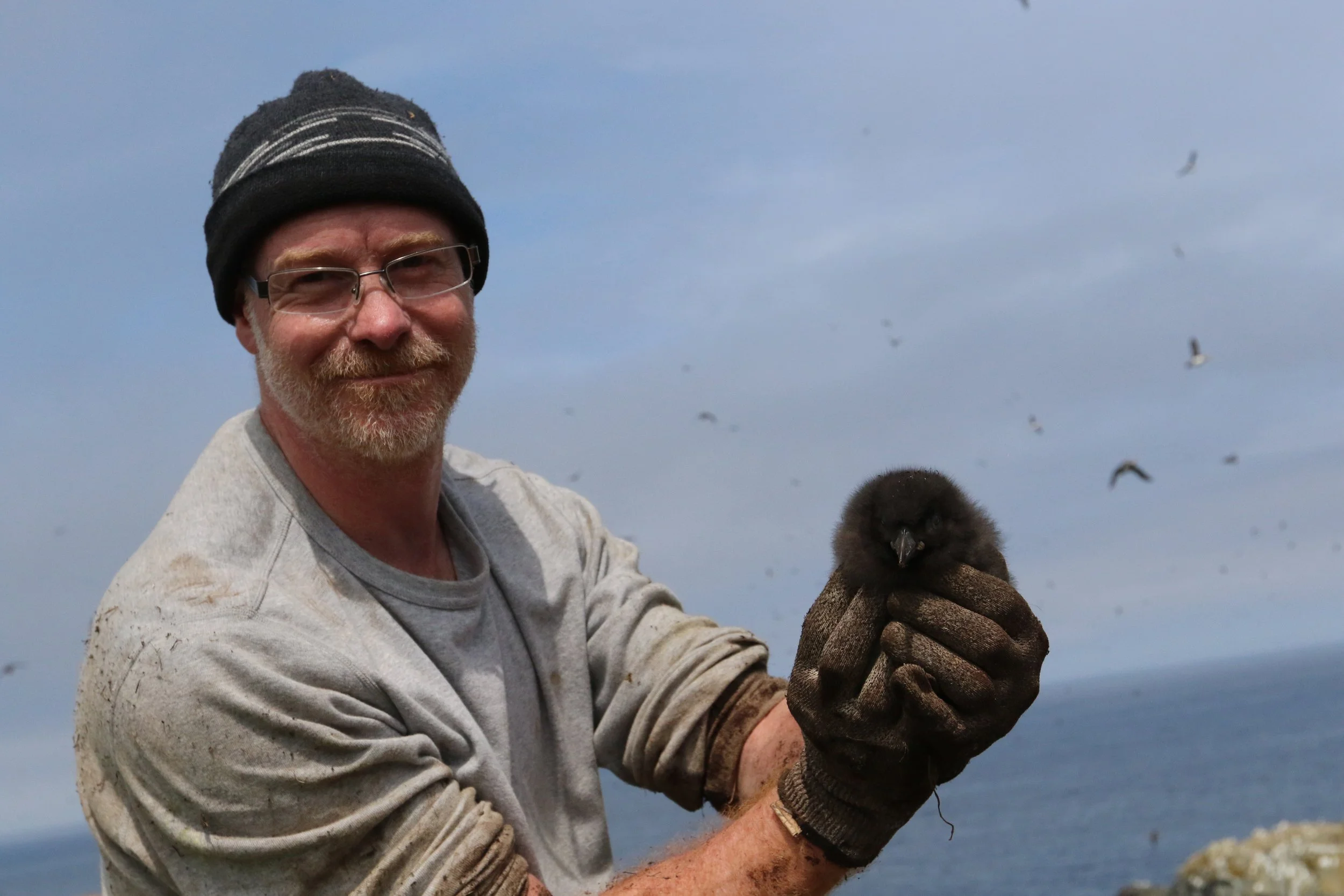New Editor | Pierre-Paul Bitton, subject editor for JAB