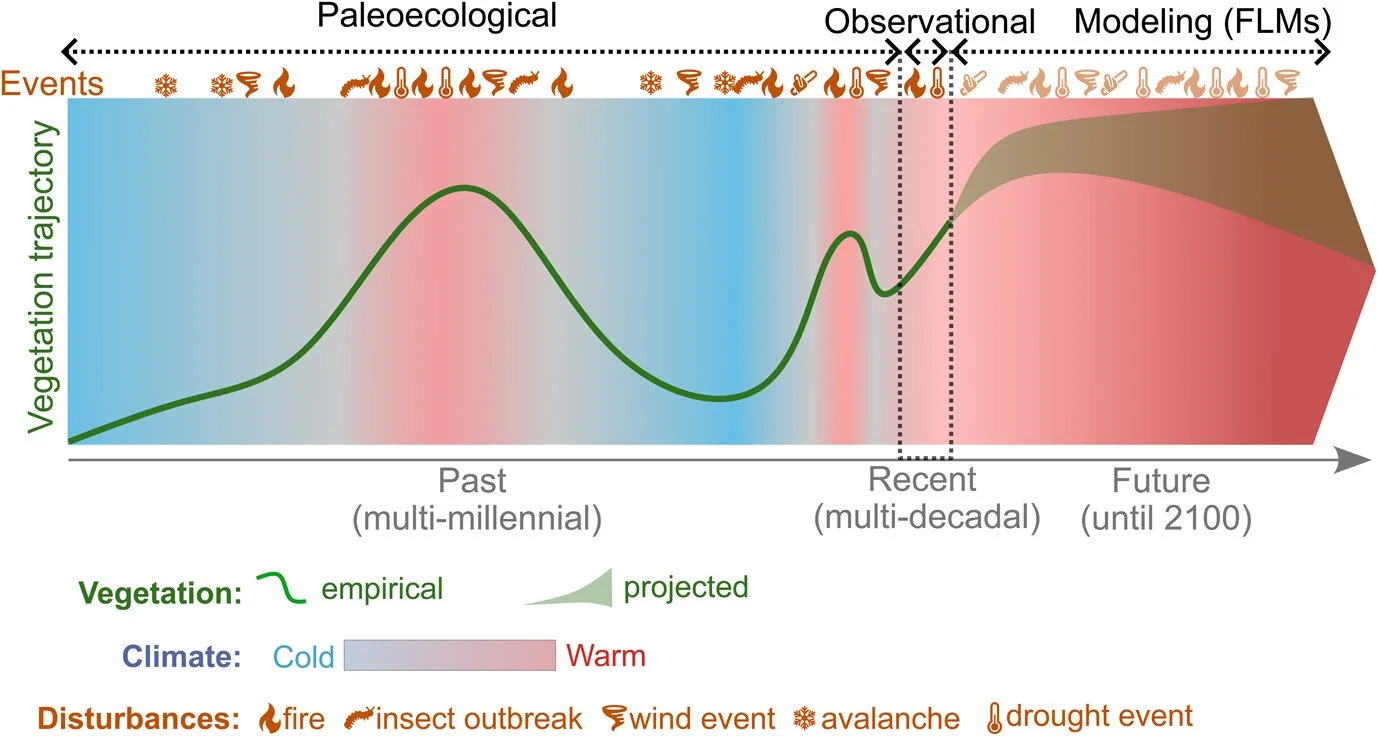 Combining paleoecology and modeling to explore cascading disturbances in forest ecosystems https://vist.ly/5fw3h #ClimateChange #Landscape #Models
