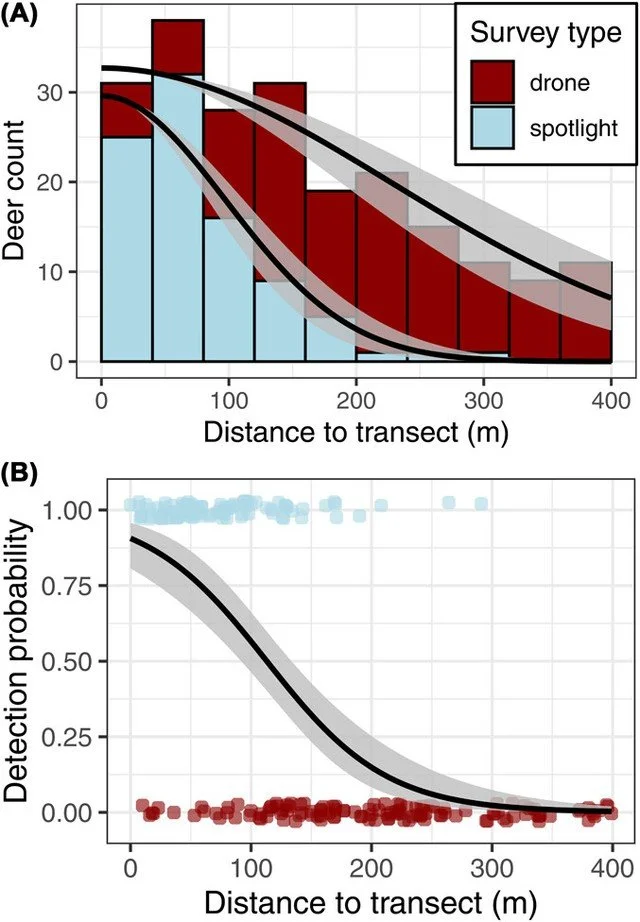 Availability bias and responsive movement during ground-based wildlife surveys revealed by concurrent thermal drone surveys https://vist.ly/5g6t3 #Deer #Density #Surveys