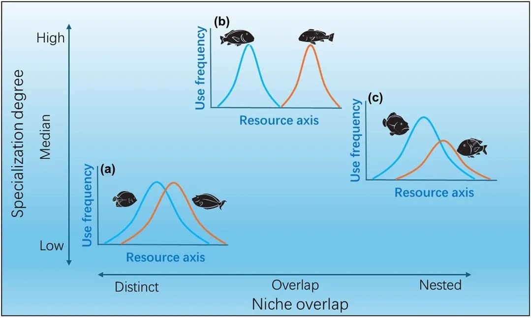 Dietary partitioning mediates species coexistence in the high seas area of northwest Pacific https://vist.ly/5g6tu #Fish #Niche #Coexistence