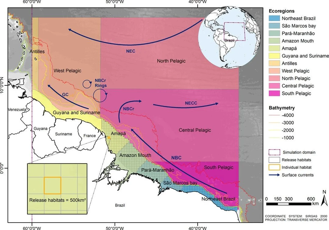 Community-level egg and larval trait interactions with the Amazon River plume determine its role as a dispersal barrier https://vist.ly/5gfck #Marine #Biogeography #Barriers
