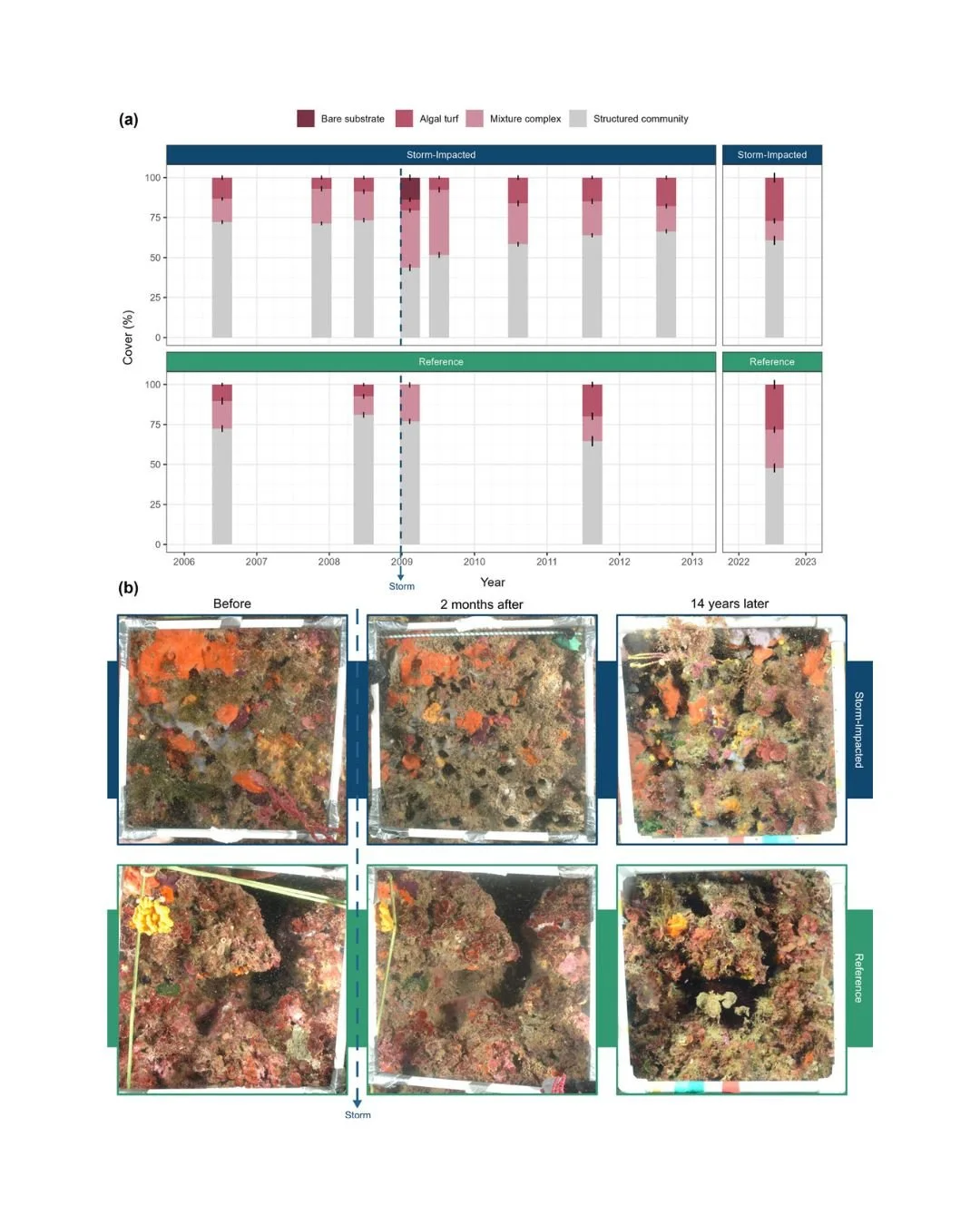 🏃&zwj;♂️🫠No way back: decadal lack of functional recovery of a coralligenous community in a warming Mediterranean
ㅤ
https://vist.ly/5hjm4
ㅤ
#CoralligenousAssemblages #ExtremeStorm #FunctionalRecovery #MarineHeatwaves #RecoveryDebt #TraitBasedApproa