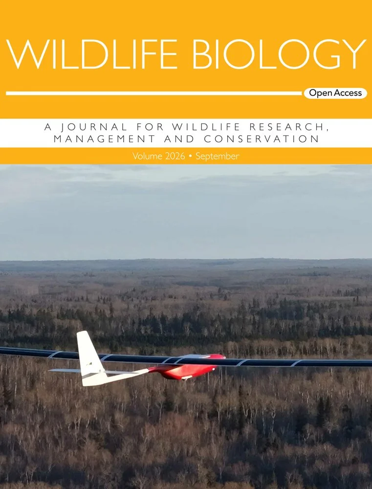 Cover | 450 Hours Above the Wild 