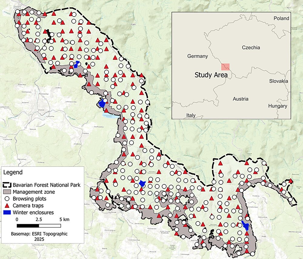 Wolves and humans both shape patterns of deer browsing in a temperate forest ecosystem of Central Europe https://vist.ly/5jtce #Wolves #Browsing #Carnivores