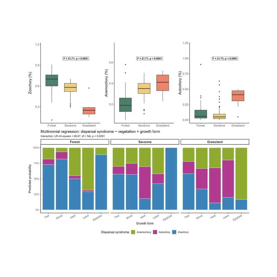 🌳📉Beyond the forest canopy: contrasting strategies of frugivory and seed dispersal across tropical forest&ndash;savanna&ndash;grassland gradients
ㅤ
https://vist.ly/5k6bz
ㅤ
#DispersalSyndrome #DispersalVectors #FruitSize #FruitFrugivoreNetworks #Phi