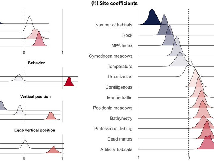 Human pressure, habitat heterogeneity and species traits jointly determine the level of dark diversity in coastal fish communities https://vist.ly/5kqpn #Marine #ProtectedAreas #MetaBarcoding
