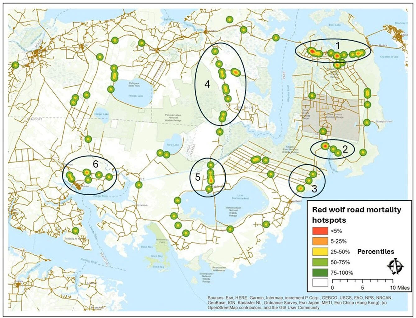 Road mortality mitigation for red wolves requires a landscape approach https://vist.ly/5kqsh #RoadEcology #Mortality #Wolves