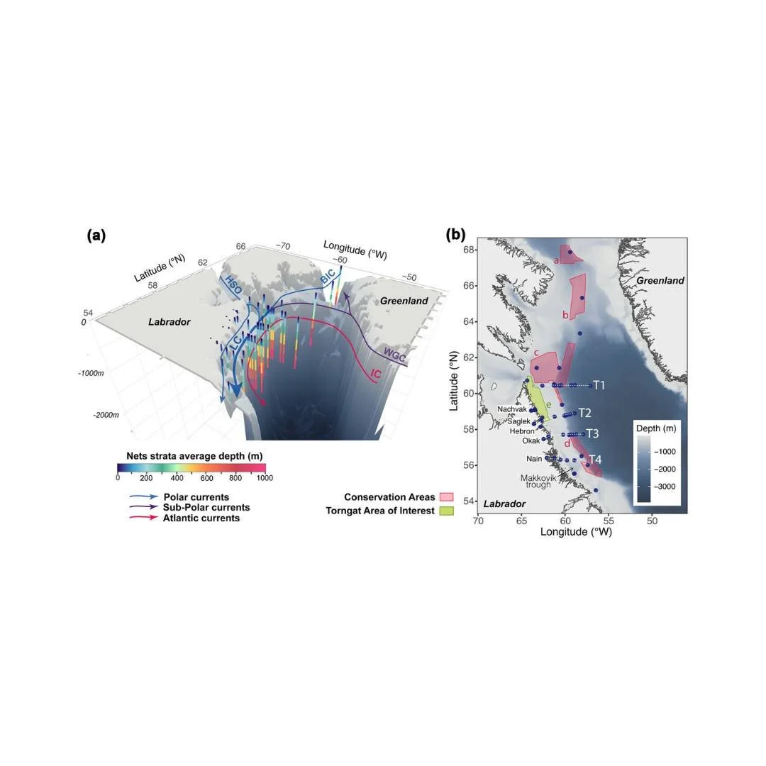 🌊🔗Limited connectivity of zooplankton communities across the Labrador Front: role of physical oceanography, insights from individual motility
ㅤ
https://vist.ly/5krxs
ㅤ
#LabradorSea #MarineConservationAreas #ReynoldNumber #ShelfBreakFront #Zooplankt