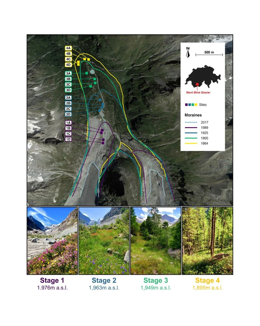 🐝🧊Unshared on the top: strong segregation of pathogen communities between western honey bees and wild bees in a retreating glacier foreland
ㅤ
https://vist.ly/5m3nx
ㅤ
#DeformedWingVirus #GlacierRetreat #NosemaCeranae #NicheDifferentiation #PathogenT