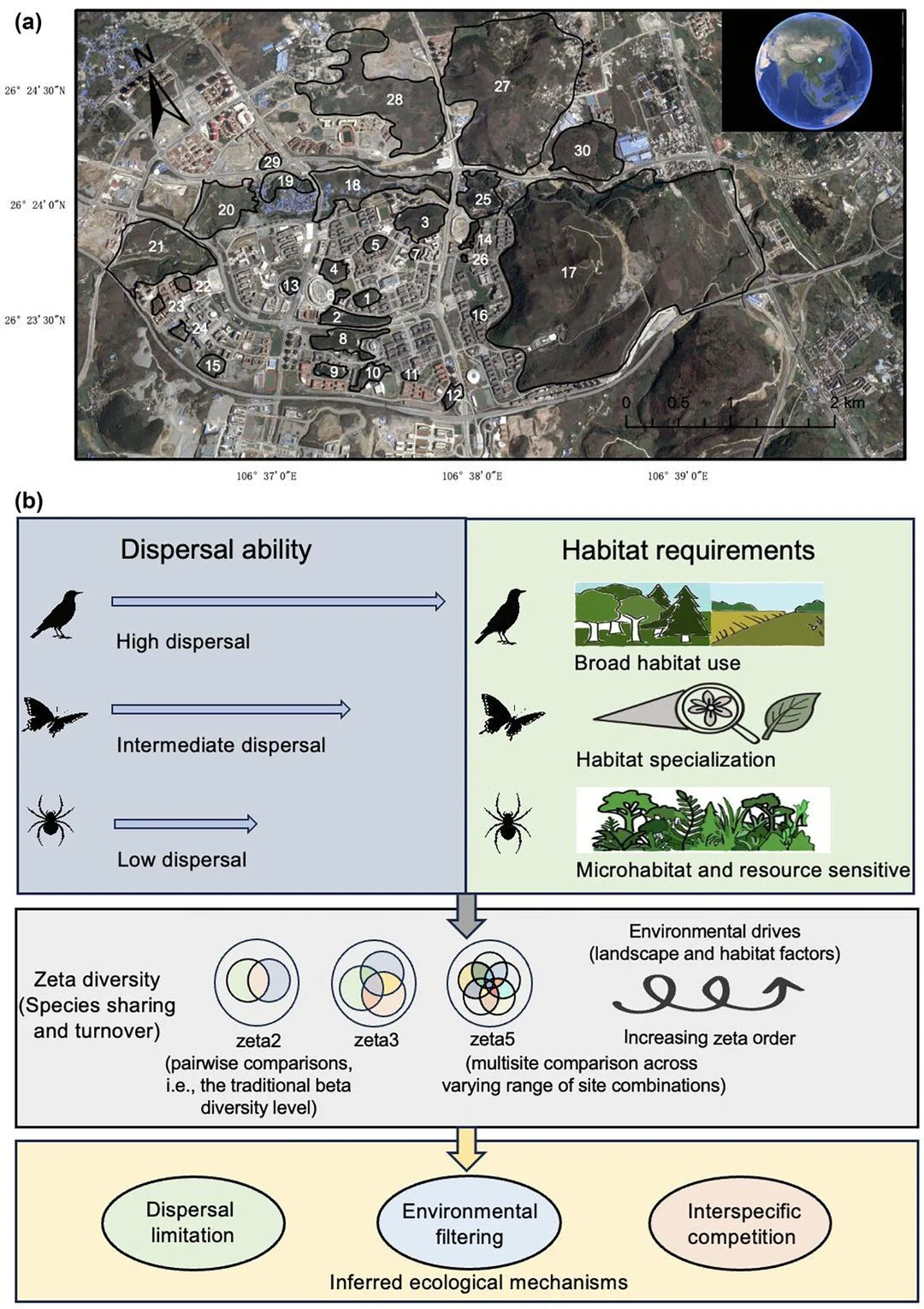Taxon-dependent multisite species turnover in fragmented habitats: comparing zeta diversity across birds, butterflies, and cursorial hunting spiders https://vist.ly/5mcdp #Dispersal #Habitat #Fragmentation