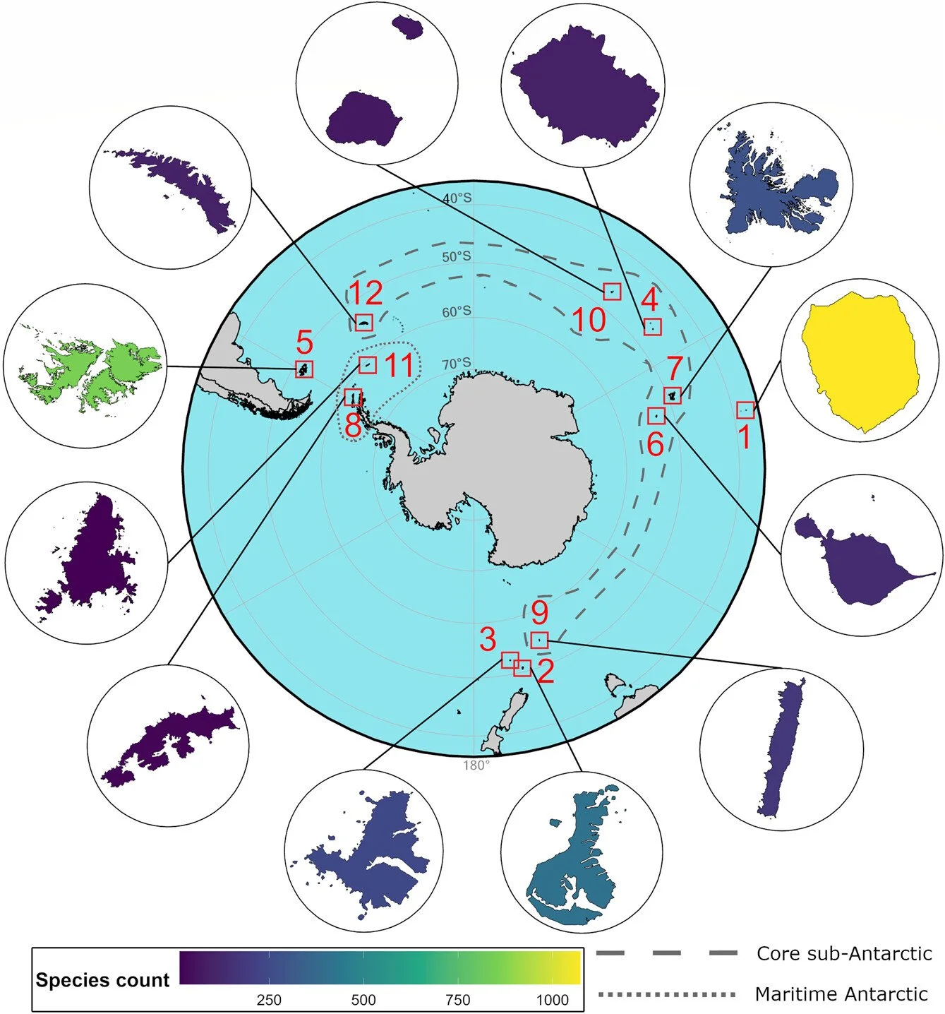 he projected risk of plant invasions on the peri-Antarctic islands under climate change https://vist.ly/5mnny #Biological #Invasions #SDM