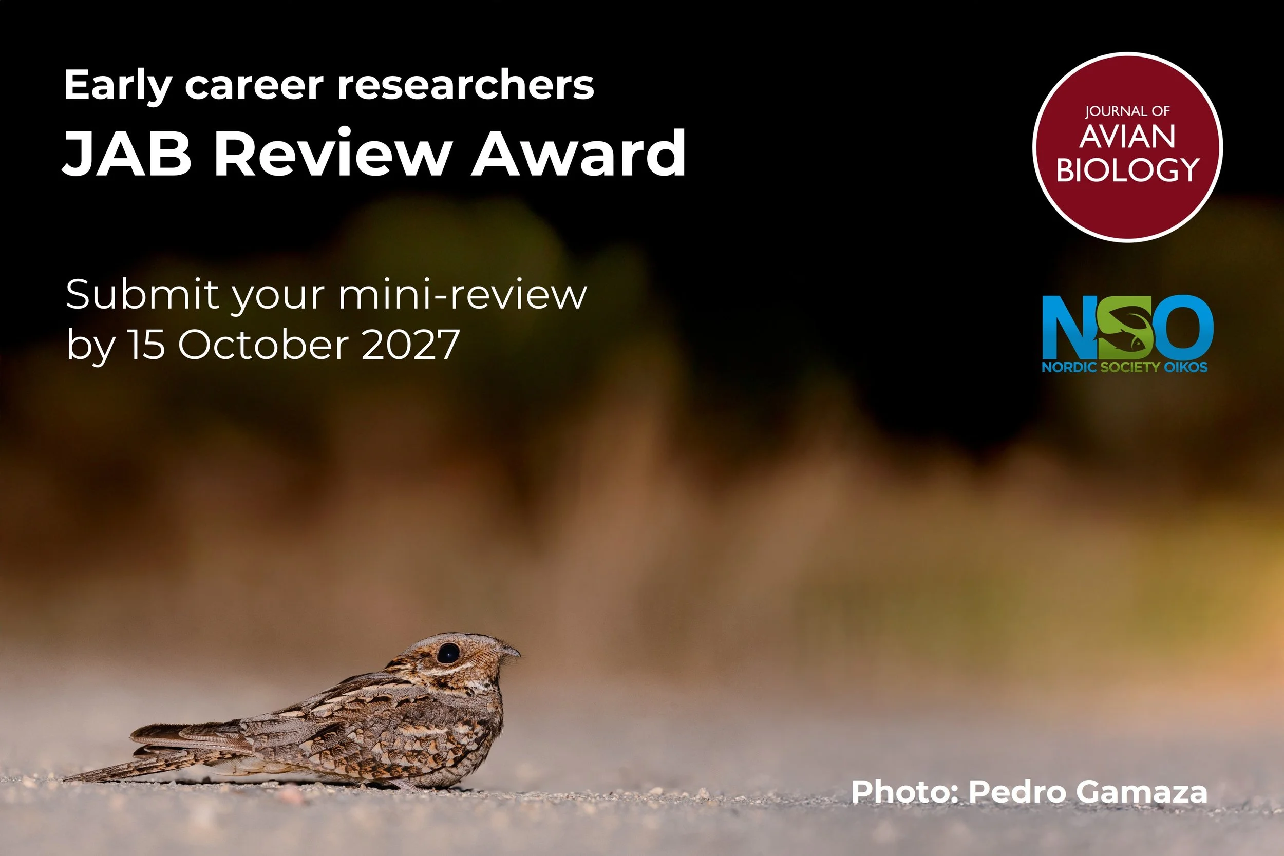 Award | Announcing the 2027 JAB Review Award competition