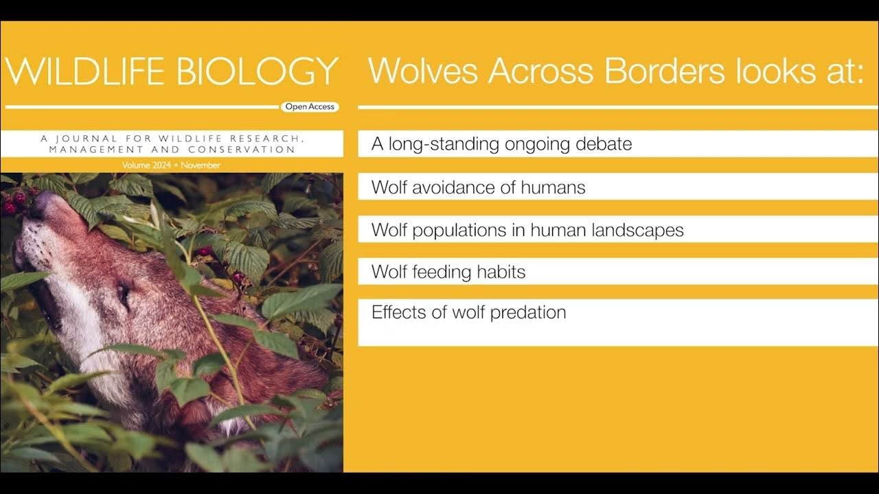 Did you miss our first Wolves across Borders special issue? Video abstract: https://vist.ly/5pvkk Link to all 25 Open Access papers: https://vist.ly/5pvke