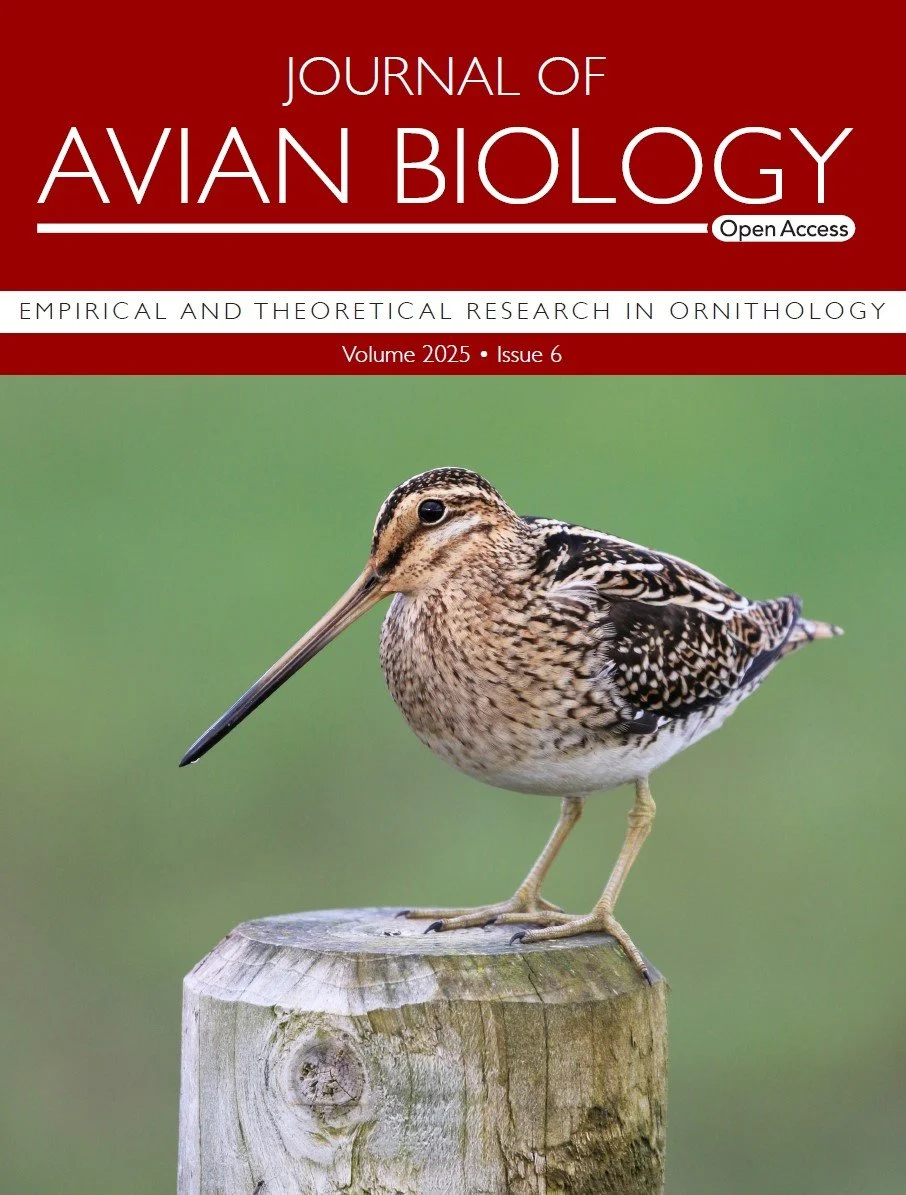 Cover | How do low-traffic roads affect ground-nesting birds?