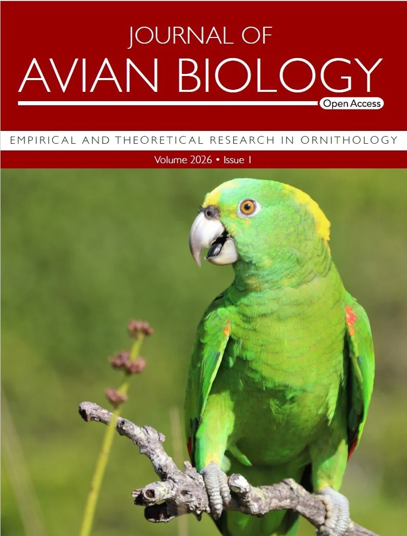 2026 Issue 1 cover of Journal of Avian Biology depicting a yellow-naped amazon.