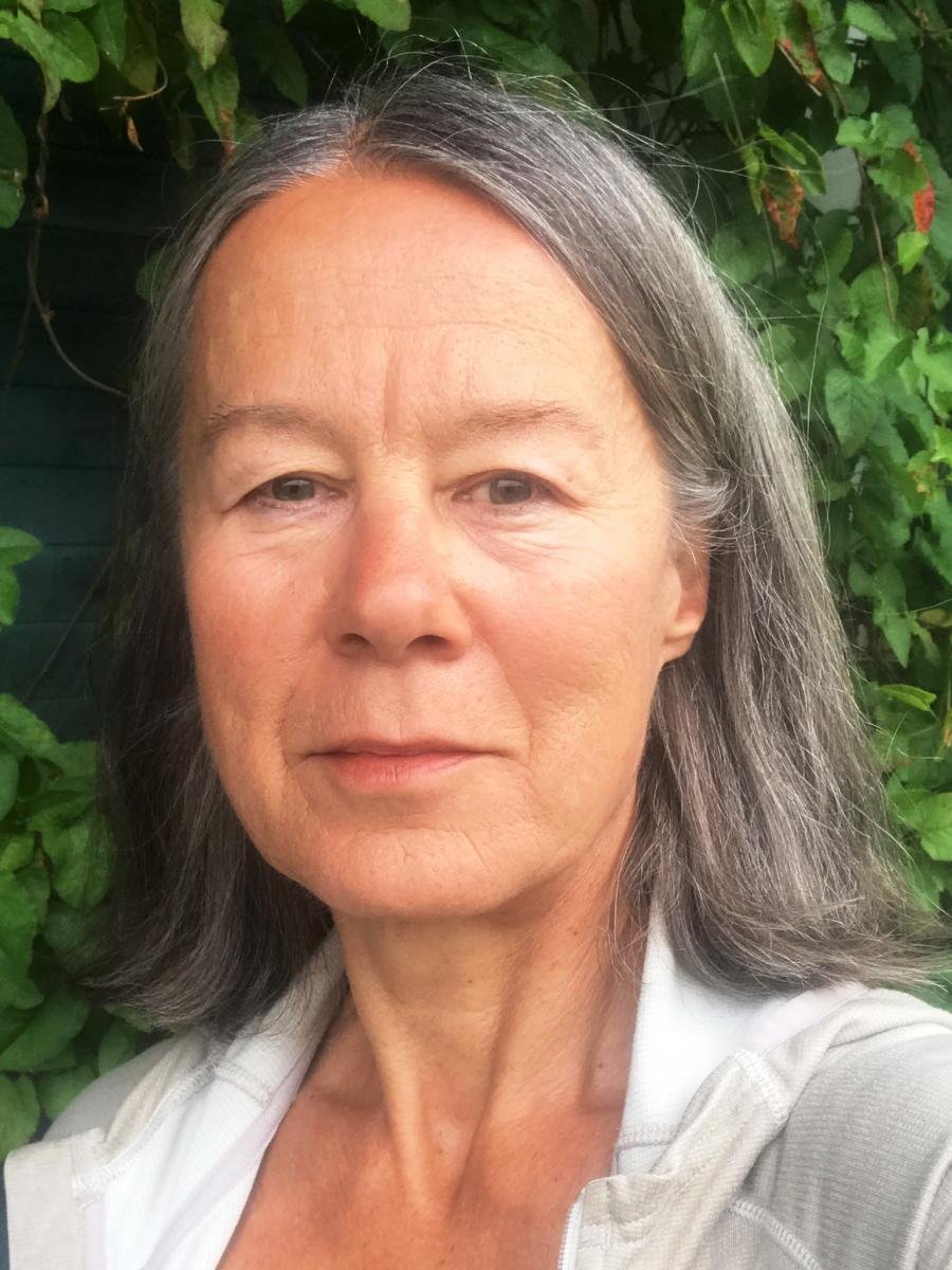 *Editor’s Choice | Climatic variation affects seasonal survival of an alpine bird species