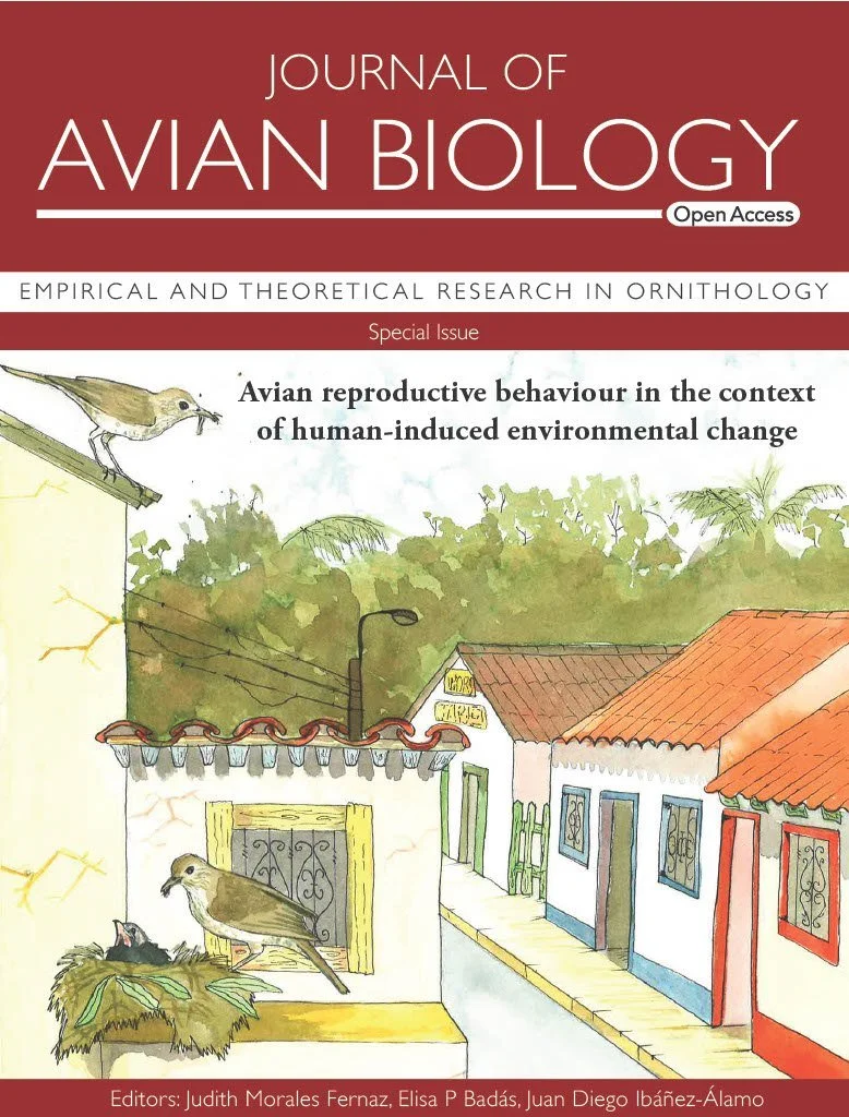 Special Issue | Ask the editors: human pressures on bird reproduction