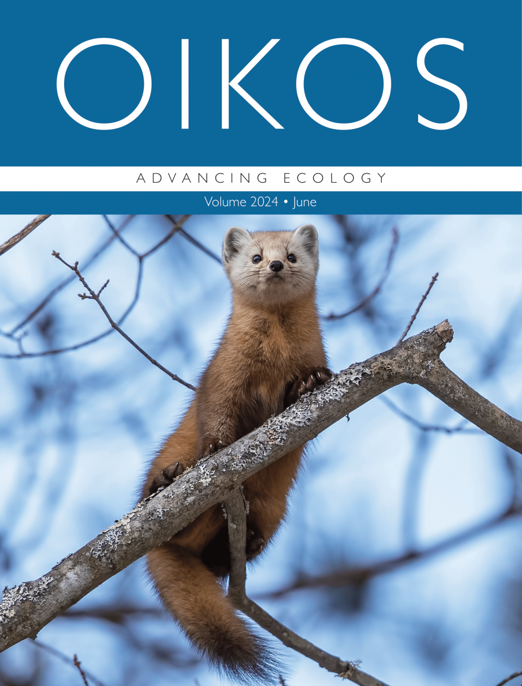 oikos_2024_6_cover_01-11.png