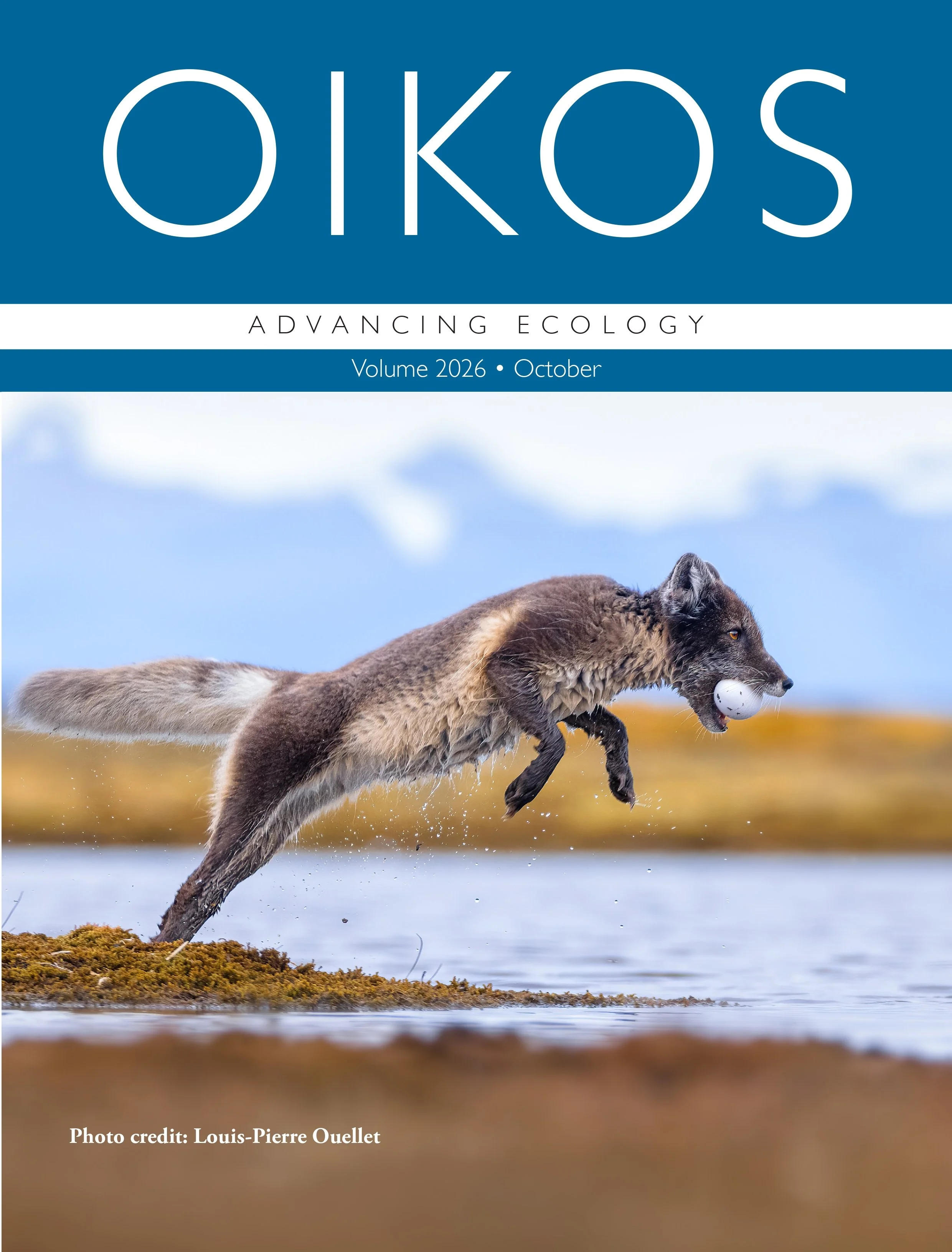 Cover | How Islets Save Arctic Bird Nests