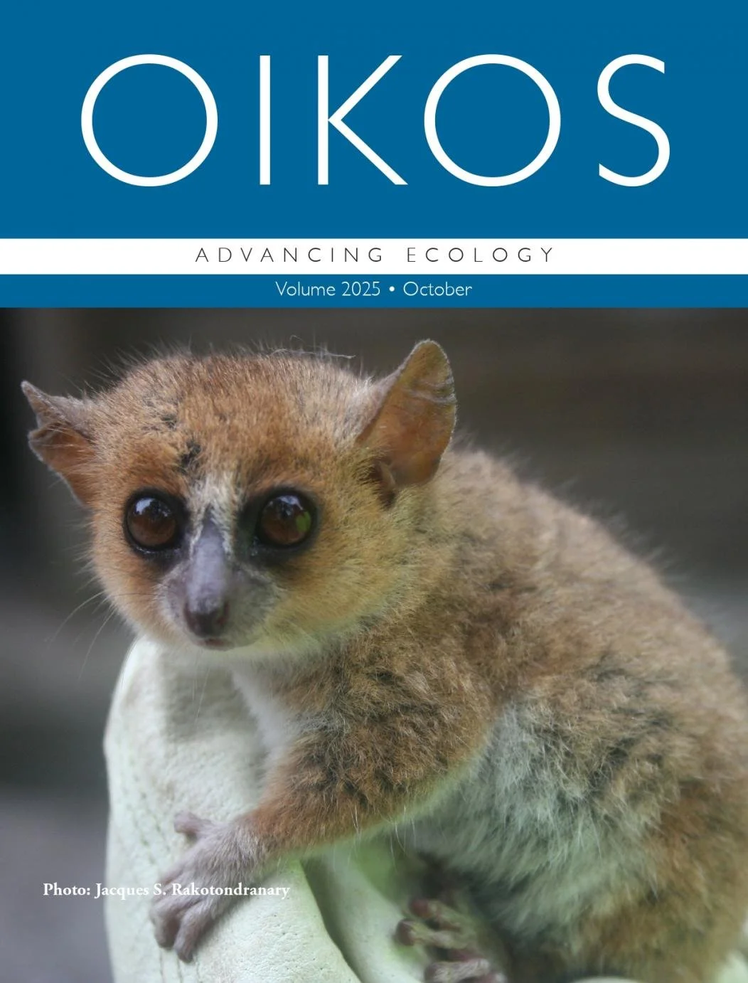 oikos_2025_10_cover_01_page-0001.jpg