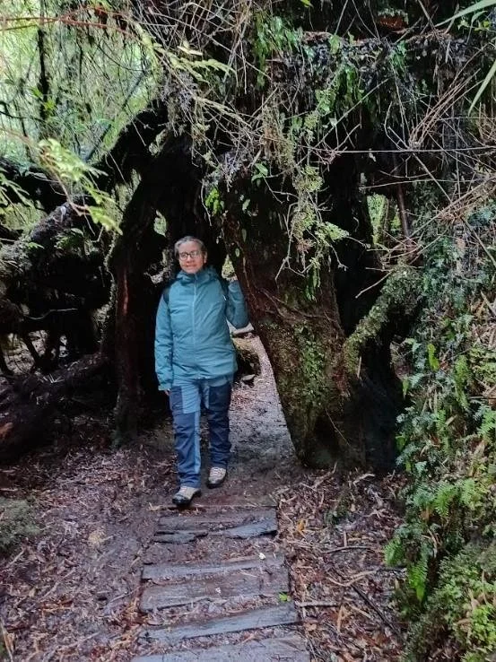 *New Editor | Christine Meynard, Editor-in-Chief for Ecography