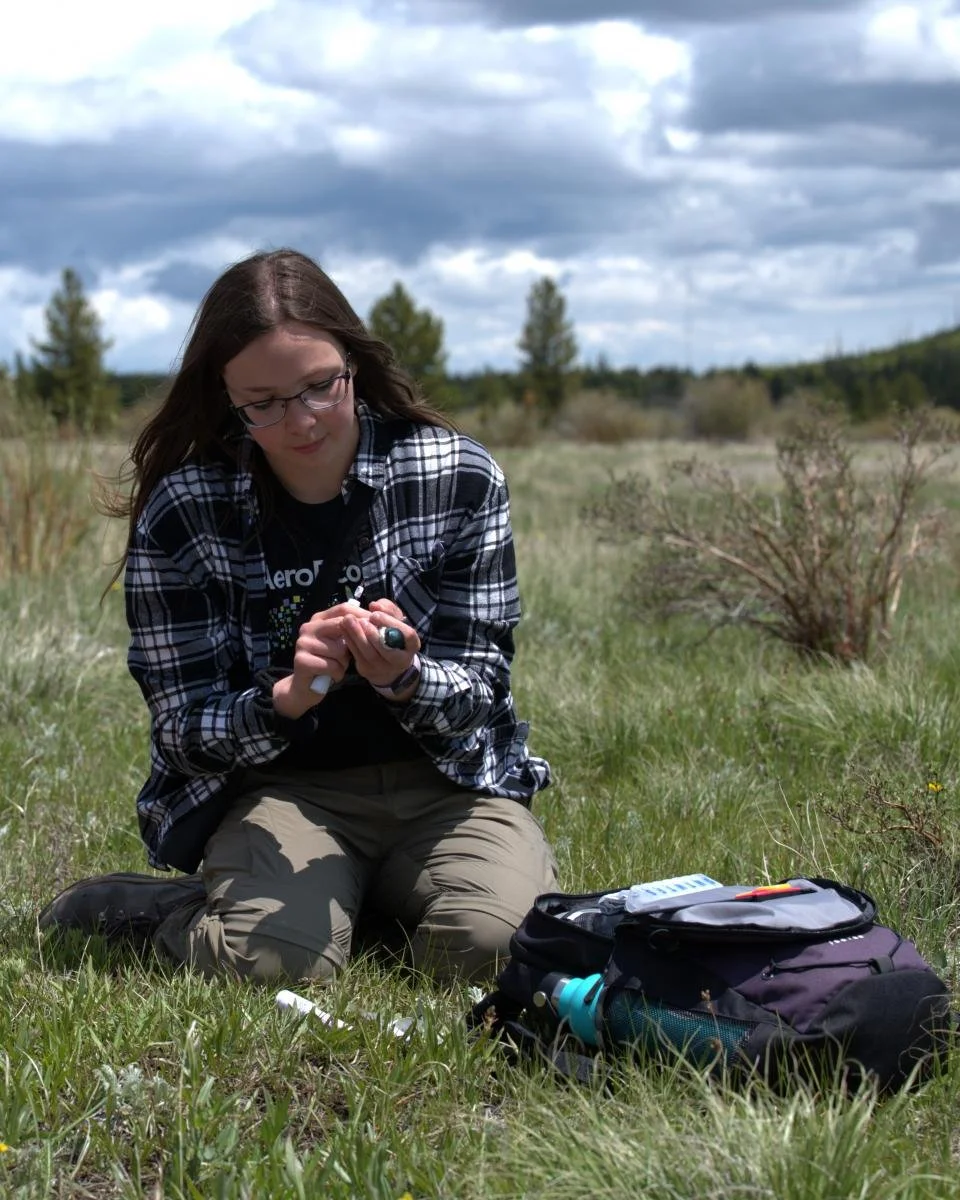 *Study | Radar revelations: insect availability influences parental provisioning in breeding tree swallows